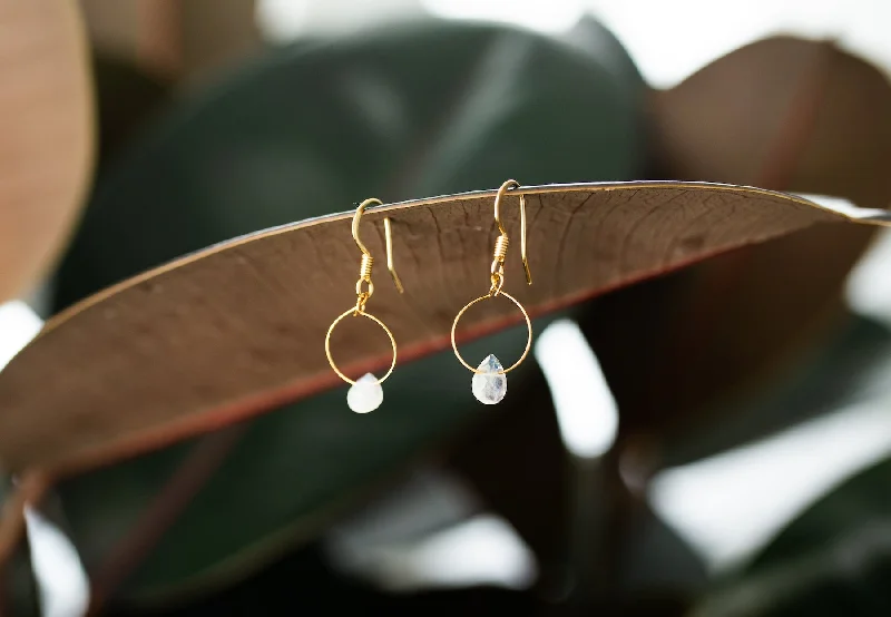 Rose gold stud earrings for women-Moonstone Hoop Earrings