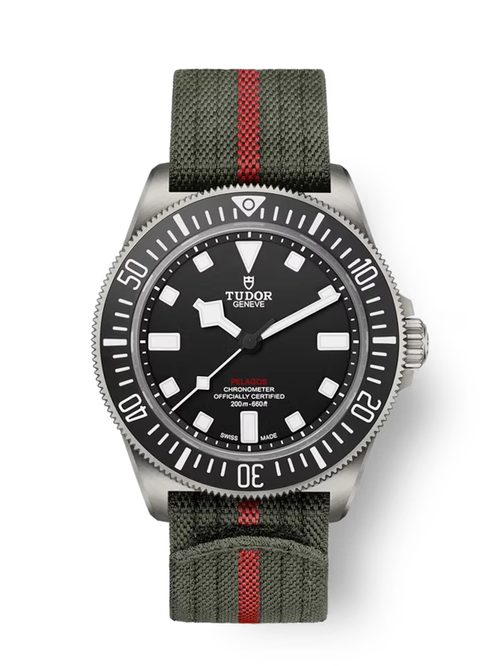 Military wristwatches-TUDOR Pelagos FXD